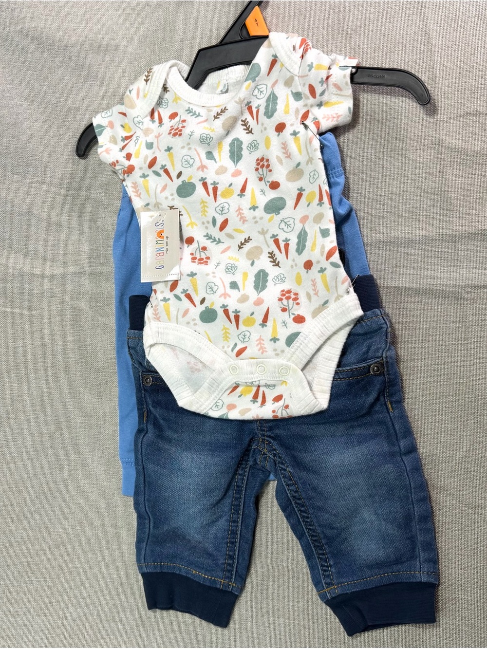 Garanimals Baby Clothing Set